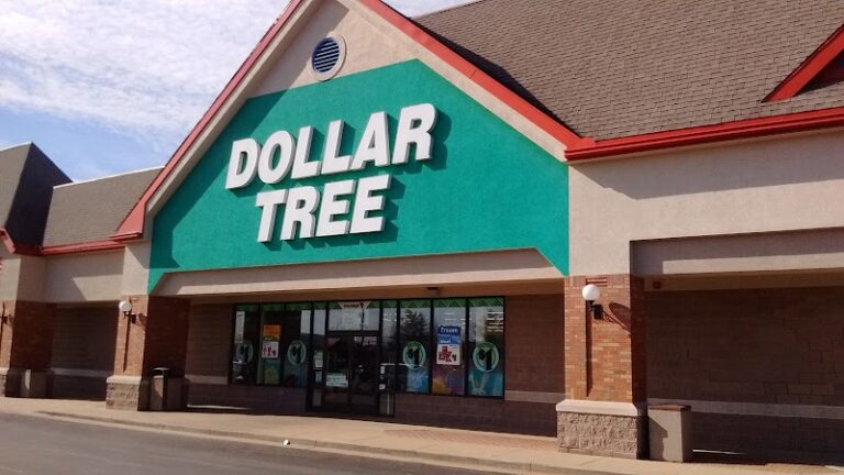 Take a Tour of the 10 Largest Dollar Tree Stores in Illinois