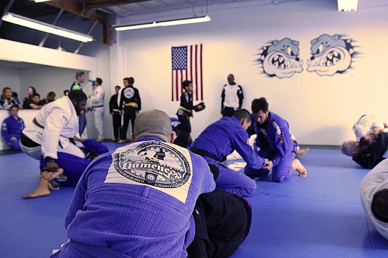 Jiu Jitsu (2) in Irvine CA