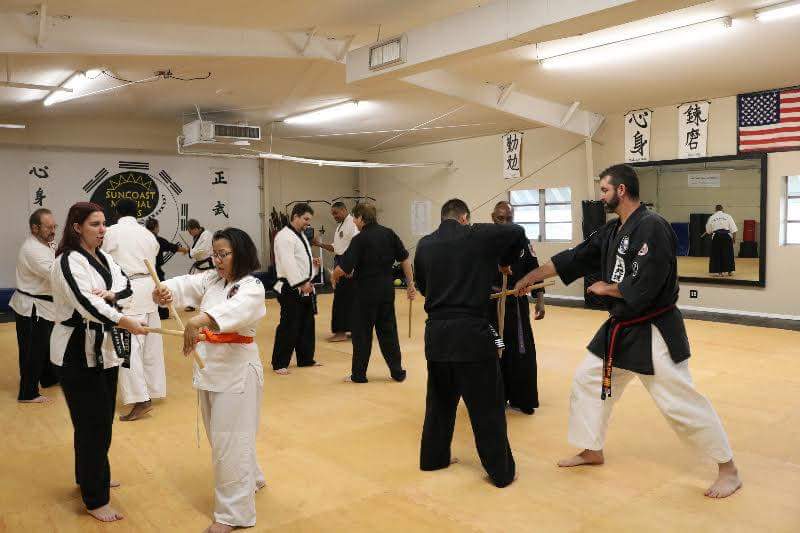 Jiu Jitsu (2) in St. Petersburg FL