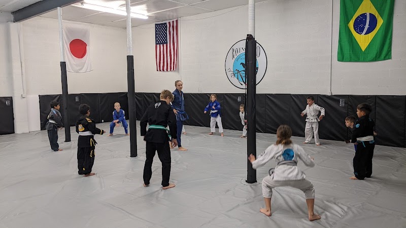 Jiu Jitsu (2) in Wilmington NC